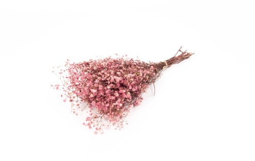 Gepreserveerd Gips Gipskruid Berry Roze 60cm. 55gr Gepreserveerd