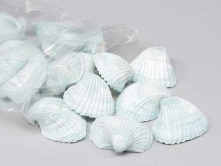 Chippy Big Pastel schelpen blue washed, 1 kilo