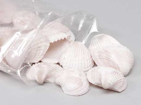 Chippy Big Pastel schelpen pink washed, 1 kilo