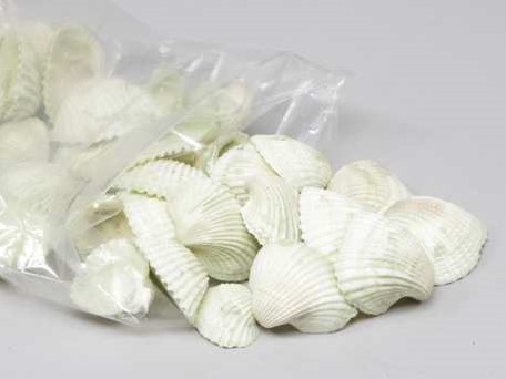 Chippy Pastel schelpen green washed, 1 kilo