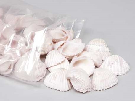 Chippy Pastel schelpen pink washed, 1 kilo