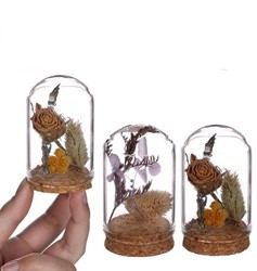 Actie Mini Dome stolpjes gevuld INCL droogbloemen Ø4 h.6 cm set 4 leuk cadeautje,purple-natural dome w. dried flowers 