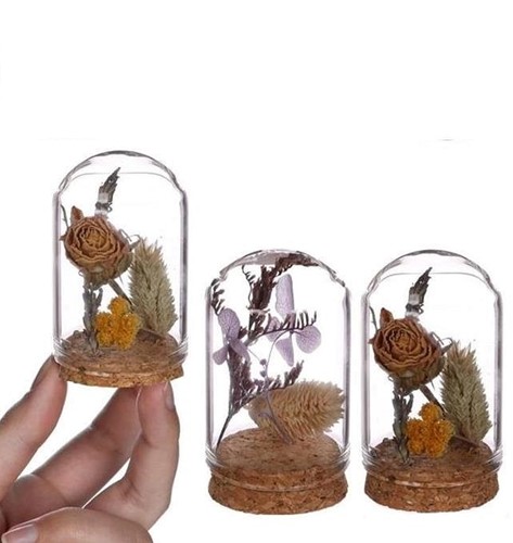 Actie Mini Dome stolpjes gevuld INCL droogbloemen Ø4 h.6 cm set 4 leuk cadeautje,purple-natural dome w. dried flowers 