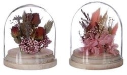 Actie Mini Dome stolp gevuld INCL droogbloemen Ø8 h.10 cm / stuk leuk cadeautje dome w. dried flowers uit assortie