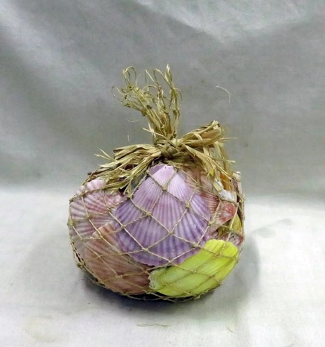 Pecten Chlamys Nobilis - Jacobsschelp 750 gr gekleurd 750gr