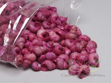 Umachi schelpen pink washed, 1 kilo