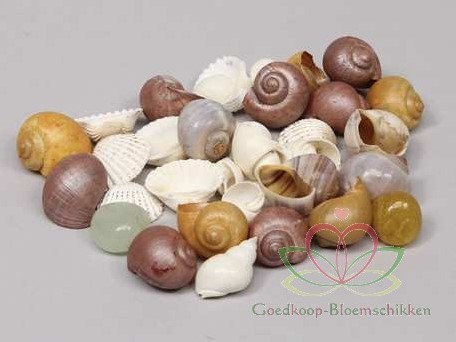 Actie Schelpenmix deluxe bruin amber, 350 gram van E 4.39 voor E 2.99