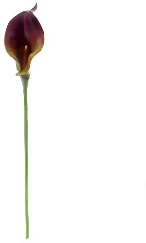 Calla Real Touch BROWN/BURGANDY +/- 7 cm. en 37cm lang. / st Calla Real Touch +/- 7 cm.