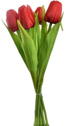 Actie Tulp Tulpen ROOD 35cm Bundel 7st Merk: PURE   Zijde Tulpen