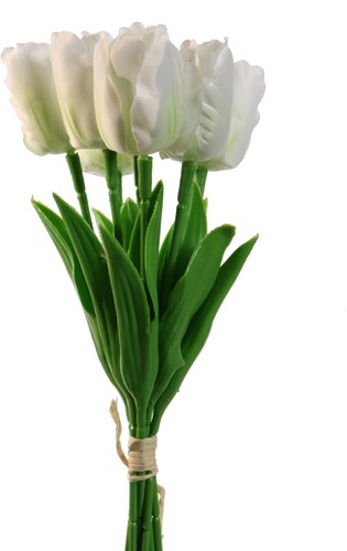 Actie Tulp Tulpen Wit Ivory Creme 33cm Bundel 7st Merk: PURE   Zijde Tulpen