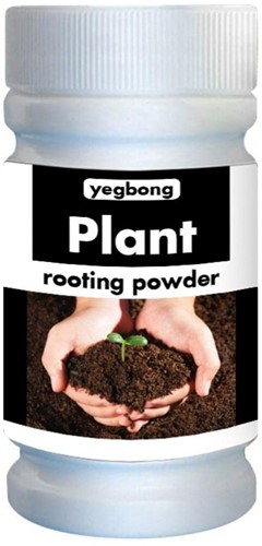 Wortelpoeder, bewortelingspoeder 50gr voor binnen en buitenplanten