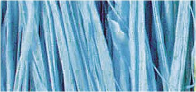 Raffia Natuurraffia 25 gram. Lichtblauw Raffia 25 gram