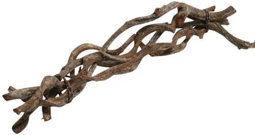 Gekrulde takken, Snake RatCipo Fina 60cm Naturel 5 st  Snake Rattan