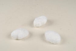 Bolletjes WIT mos 1 maat +/- 7 cm. Bolletjes WIT m
