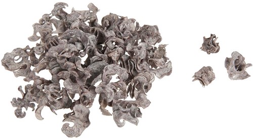 Curly pods Whitewash 100 gram Curly pods Whitewash 100