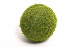 Actie Bol Mos, Bal Mos, Asiamos 20 cm. mosbal bol mos