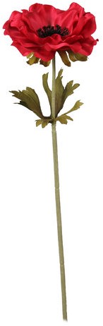 Anemoon rood 37cm./st Anemoon rood 37cm./st