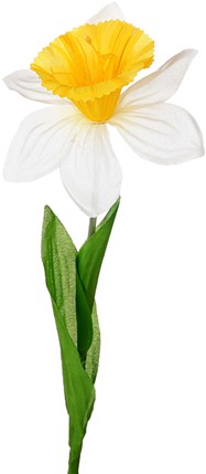 Narcis zijdebloem Wit met geel / stuk Narcis zijdebloem Geel