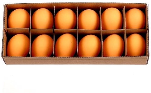 Kippeneieren Oranje 12 stuks echte leeggeblazen eieren voor decoratie