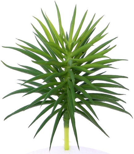 12. 5cm. ARTIFICIAL SUCCULENT GREEN 868685 Succulent