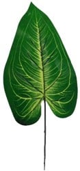 Bladeren 6 stuks/PAKJE van 6 Botanical