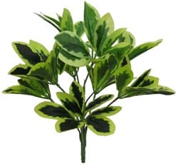 47cm EUPHORBIA SPRAY VARIEGATED boeketvuller