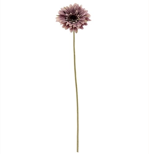 Zijde Gerbera 53cm SINGLE GERBERA DRY COLOUR MAUVE/ st aparte kleur Zijde Gerbera  