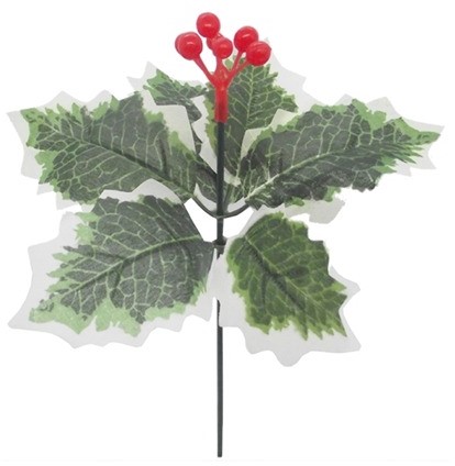 Hulst BONTBLAD met besjes Holly and berry / st Hulst BONT met besjes