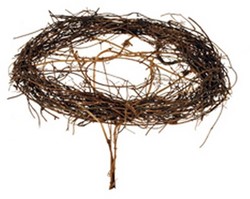 Boekethouder conisch salim meulenbeckia 20cm / st Boekethouder rond