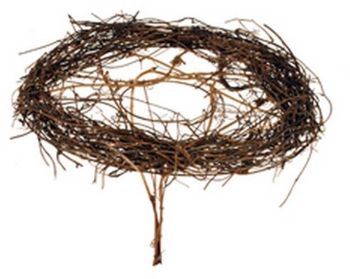 Boekethouder conisch salim meulenbeckia 20cm / st Boekethouder rond