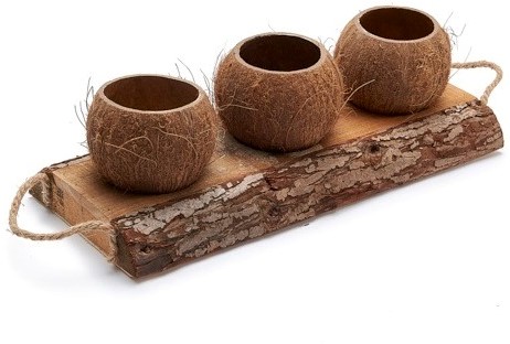Coconut planter 46x19cm 3 cups zeer decoratief