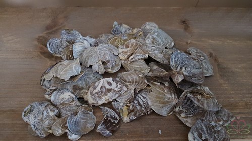Coracao leaves Frosted Groene blaadjes 150gram zak