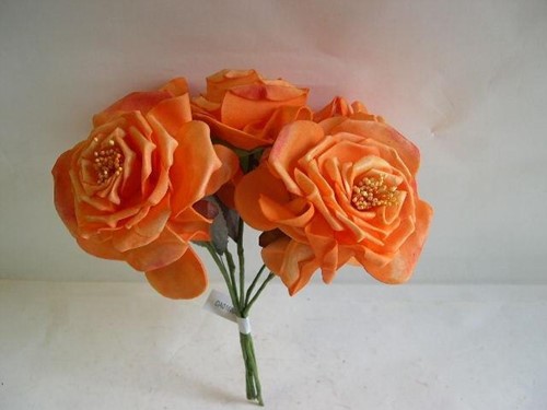 Wild Rose 10 cm. ORANJE bundel op=op Wild Rose