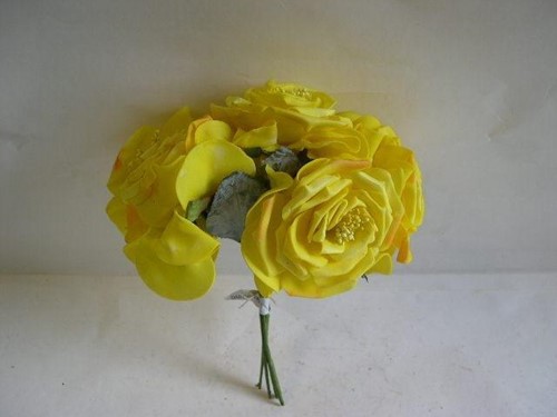 Wild Rose 10 cm. GEEL ORA COMB bundel op=op Wild Rose