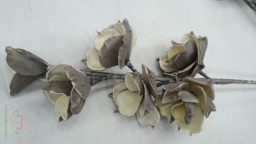 Magnolia kort foam Cool Grey/Creme Magnolia