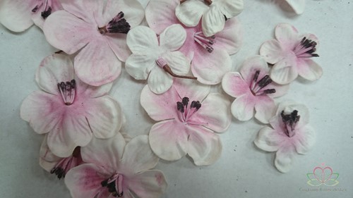 Bloesem foambloemen 15 stuks. Wit/Pink foamrozen