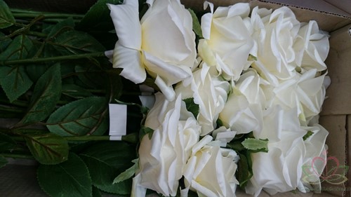 Roos Groot ZIJDE / Tak 60cm. Wit Grote roos