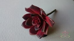 ECHEVERIA BURGUNDY Zijde- Latex Succulent ECHEVERIA