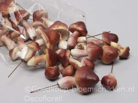 Actie Voordeelzak Paddenstoel Mushrooms Paddenstoel Mushrooms