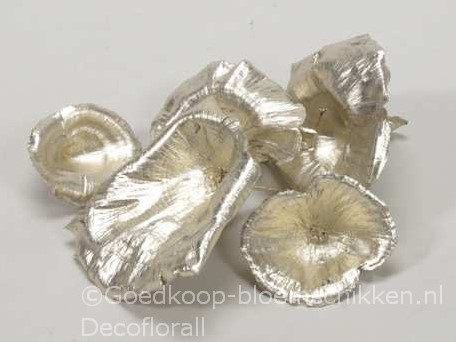 Golden Mushroom Platinum 250 gram Paddenstoel