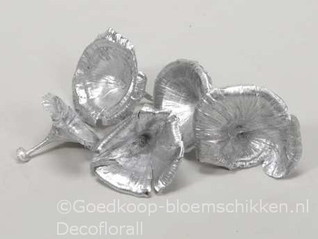 Golden Mushroom Zilver 250 gram Paddenstoel
