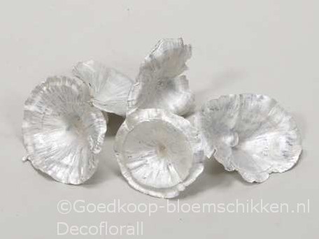 Golden Mushroom White pearl 250 gram Paddenstoel