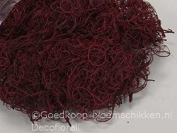 Curly mos +/- 250 gram. Rood Curly mos