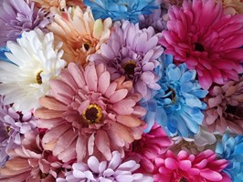 Zijdebloemen
