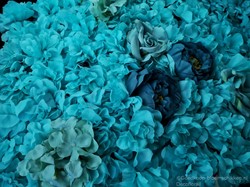 Flowerwall Flower Wall 40*60cm. 3D Blue KANT EN KLAAR! Blauwe flowerwall