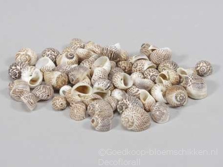 Pull Muttai schelpen naturel, 500 gram