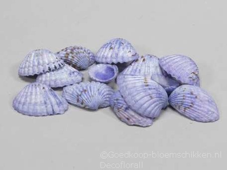 Tiger Chippy schelpen blauw, 500 gram