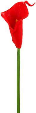 Calla Real Touch ROOD +/- 7 cm. en 33cm lang. / st Calla Real Touch +/- 7 cm.