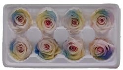Geconserveerde Rozen