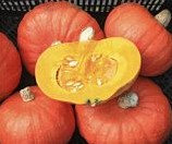 Tractor Hokkaido Bio 